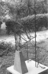 Survivor 1960-1  'Survivor' 1961 - garden exhibition Umtali (Mutare) 1962
